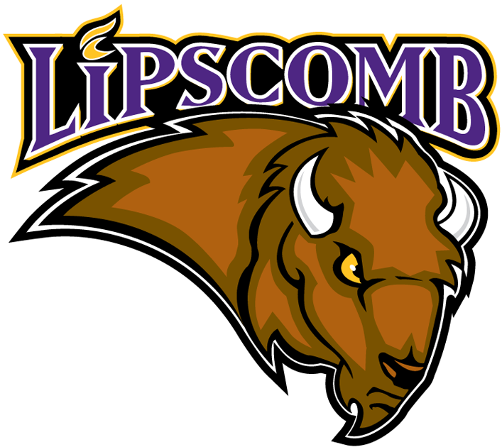 Lipscomb Bisons 2002-2011 Primary Logo DIY iron on transfer (heat transfer)